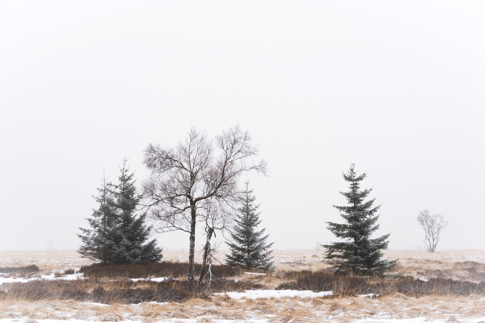 WI 01