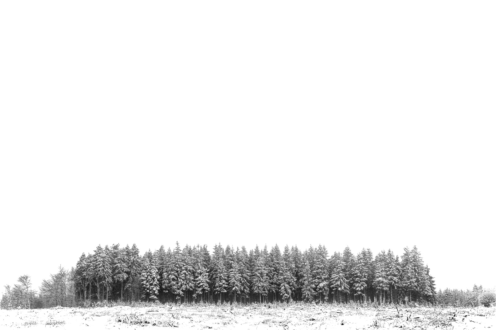 WI 05