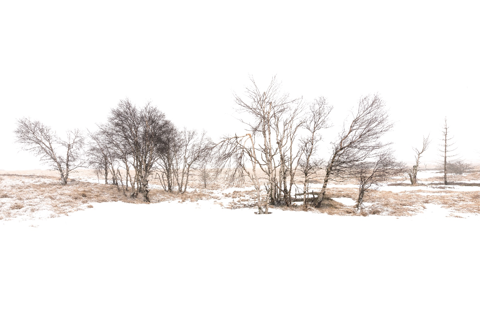WI 07